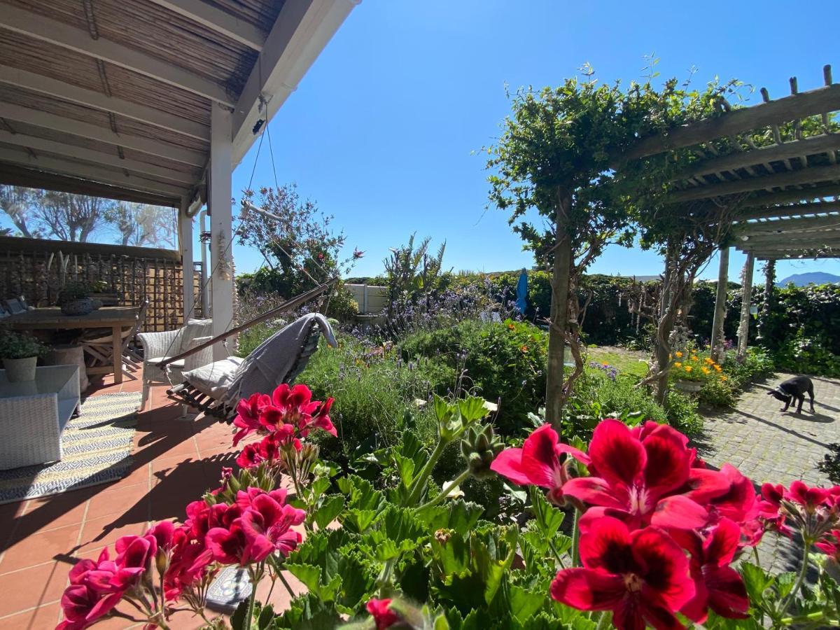 Guinea Fowl House Hotel Kommetjie Eksteriør billede