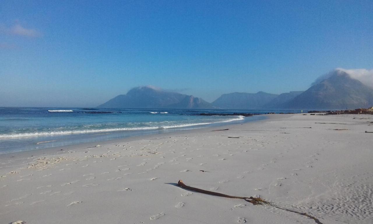 Guinea Fowl House Hotel Kommetjie Eksteriør billede