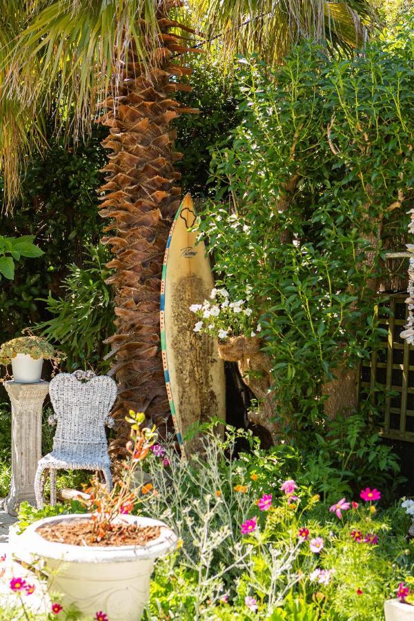 Guinea Fowl House Hotel Kommetjie Eksteriør billede