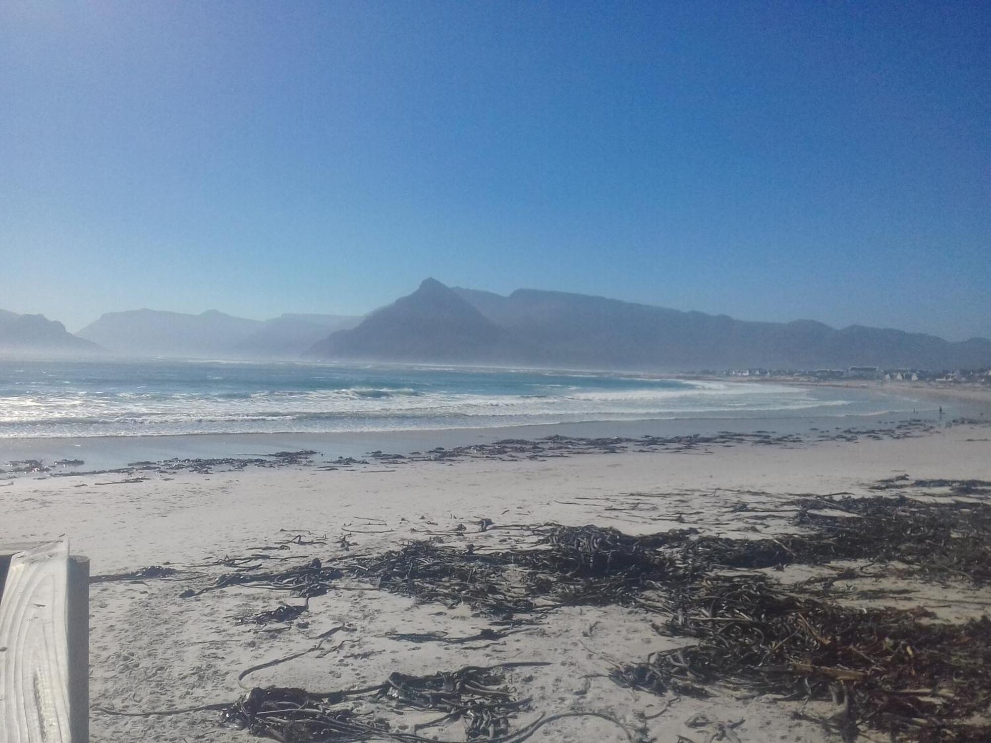 Guinea Fowl House Hotel Kommetjie Eksteriør billede