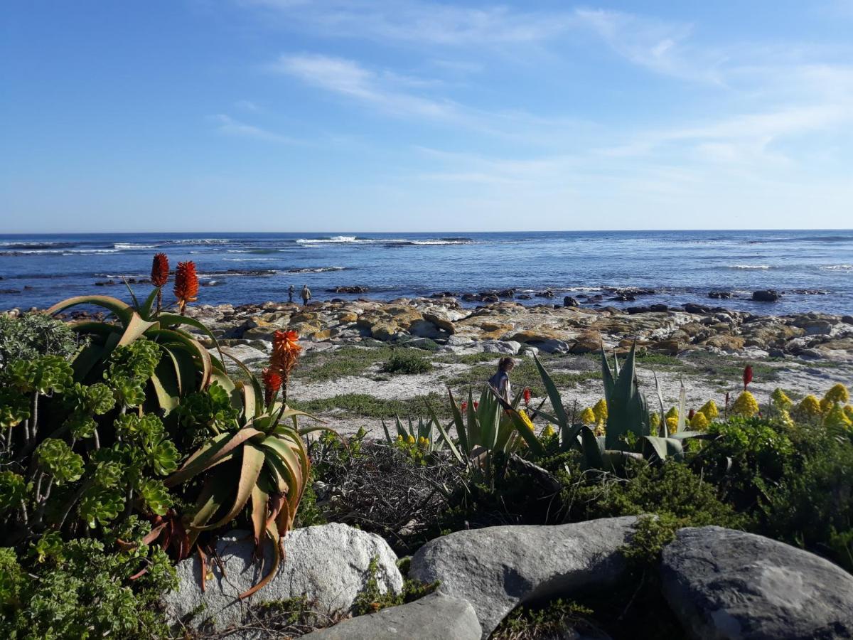 Guinea Fowl House Hotel Kommetjie Eksteriør billede